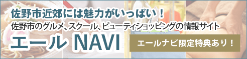 エールNAVI