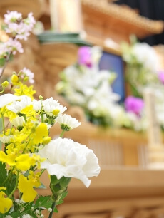 大切な人がご危篤・お亡くなりになられたら