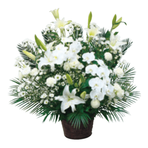 生花（グラシア植下仕様）２