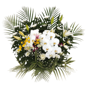 生花（愛ホール石塚仕様）２